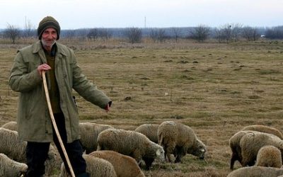 De goede herder (preek)